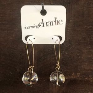 Charming Charlie Dangly Earrings